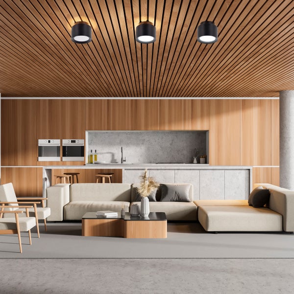 Technische Zeichnung einer Leuchte mit den Maßen 95 mm Höhe und 115 mm Durchmesser