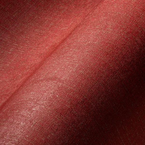 Ginkgobaum mit grünen Blättern im Garten