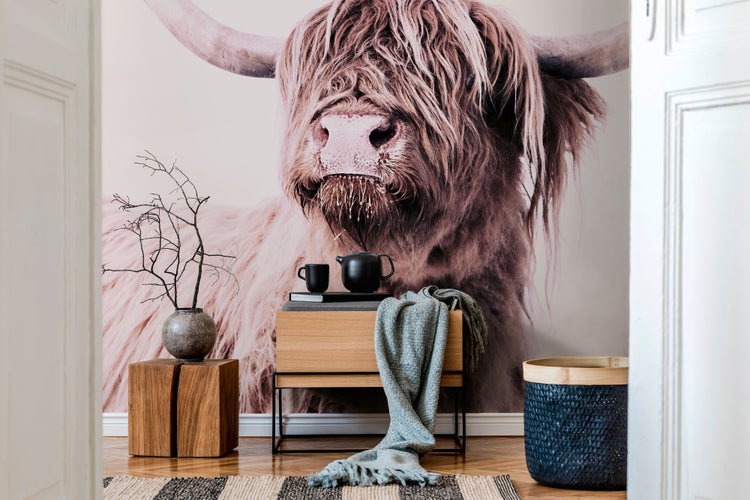 Fototapete mit Motiv eines Highland-Rinds in einem hellen Raum mit modernen Holzmöbeln, geflochtenem Korb und Textilien.