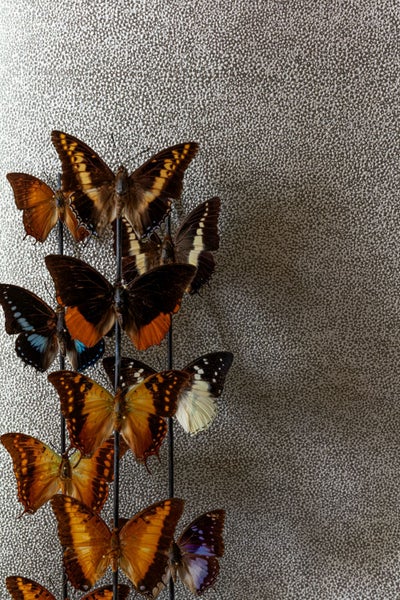 Primagran Spüle mit Montageinformationen und Maßangaben für den Einbau