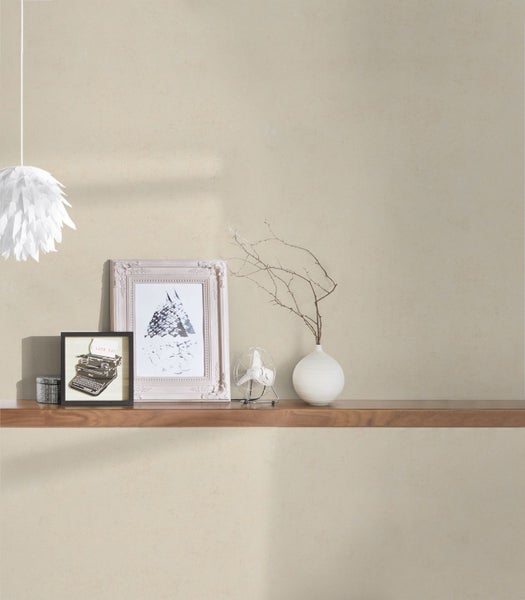 Seitenschneider mit blauem Griff