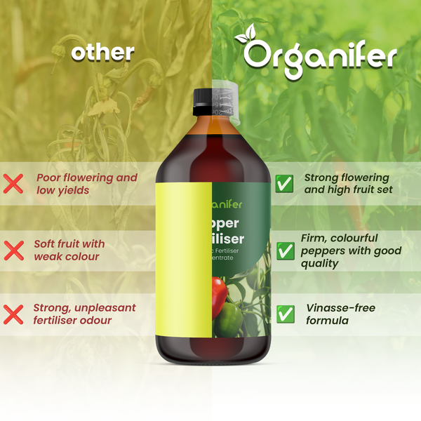 Organifer Logo über Vergleich von Paprikadünger: Vorteile sind kräftige Blüte, Qualität und vinassefreie Formel gegenüber anderen Marken.