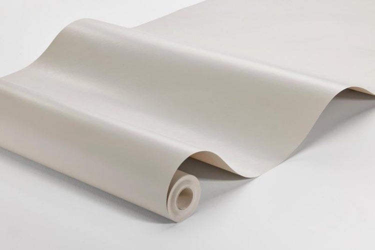 Nahaufnahme einer Zypresse