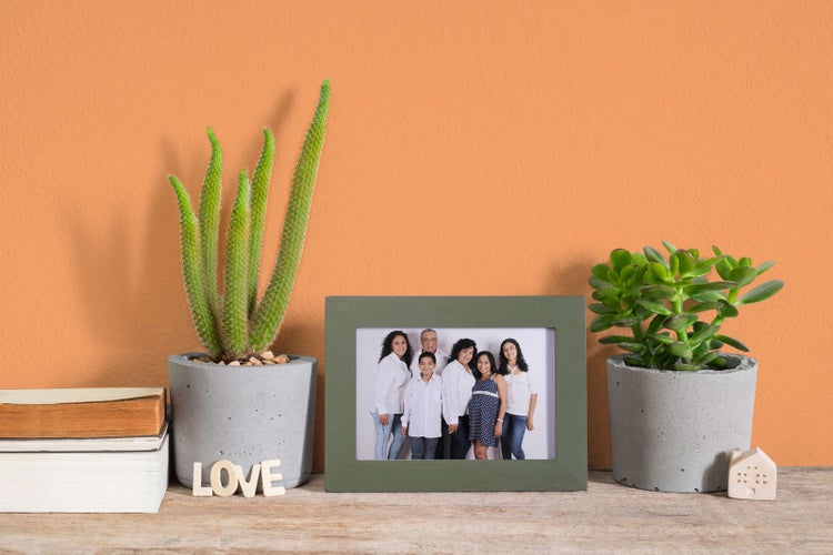 Grüner Bilderrahmen mit Familienfoto auf einem Holzregal neben Sukkulenten in Betontöpfen und Büchern.