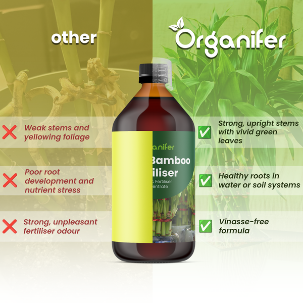 Organifer Logo. Vergleich: Organifer Bambusdünger sorgt für kräftige Stiele und grüne Blätter gegenüber schwachen Pflanzen mit gelbem Laub.