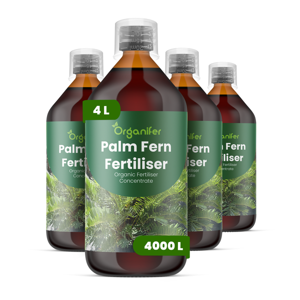 Organifer Palmen- und Farndünger, organisches Flüssigdünger-Konzentrat, 4 Liter.