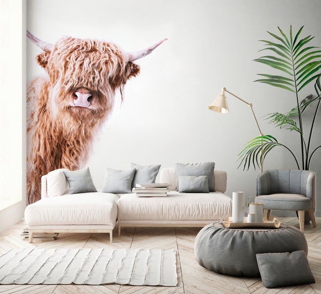Modernes helles Wohnzimmer mit großer Fototapete eines Highland-Rinds, weißem Sofa, grauem Sessel, Zimmerpflanze und Parkettboden.