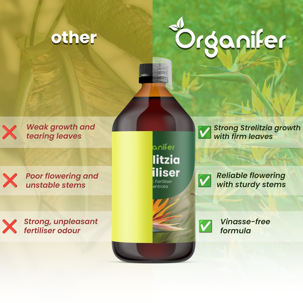 Organifer Logo. Strelitzien-Dünger: starkes Wachstum, feste Blätter, sichere Blüte und vinassefreie Formel im Vergleich zu anderen Produkten.
