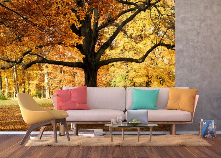 Wohnzimmer mit Fototapete Herbstwald