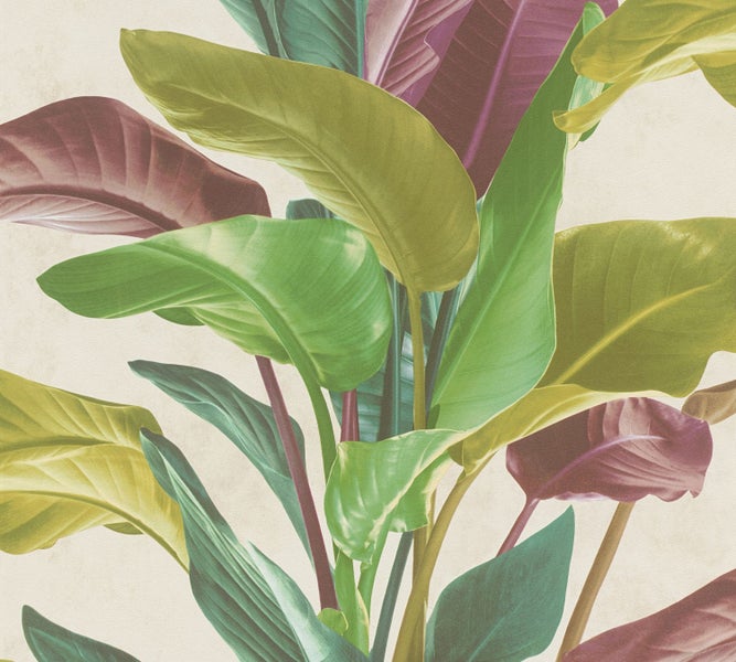 Nahaufnahme einer violetten Waldrebenblüte