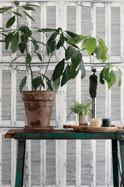 Dekorative Szene mit Zimmerpflanze, Skulptur und Kerzen auf einem Tisch vor einem Hintergrund mit Fensterläden