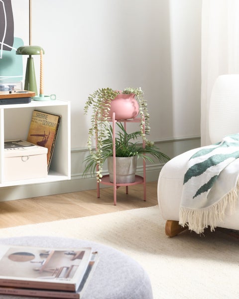 Zimmeransicht mit einem zweistöckigen Pflanzenständer, der Topfpflanzen hält.