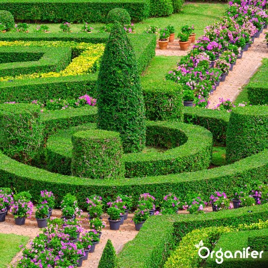 Gartenanlage mit geschnittenen Hecken und Blumen