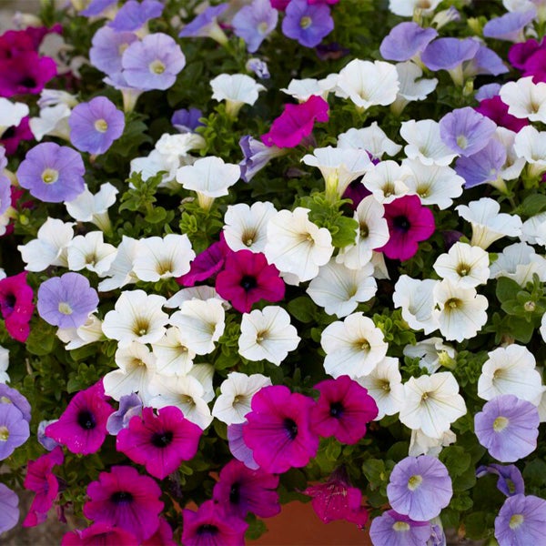 Kugelförmige Deckenleuchte mit durchbrochenem Muster