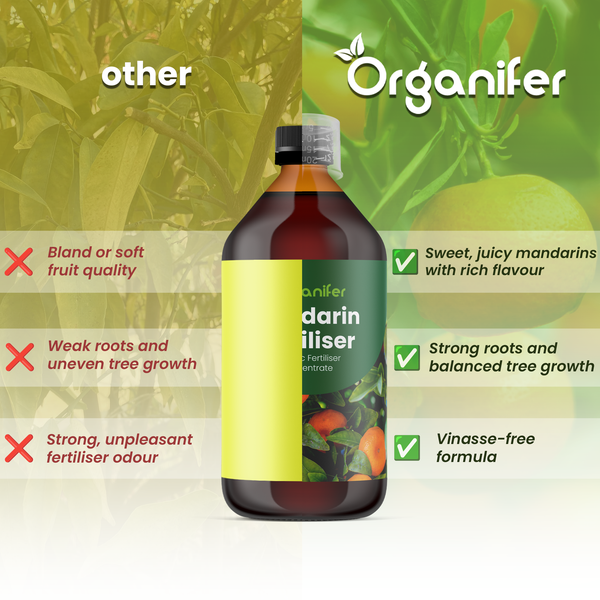 Organifer Mandarinen-Dünger im Vergleich zu anderen Produkten: bietet süße Früchte, starke Wurzeln und eine vinassefreie Formel.