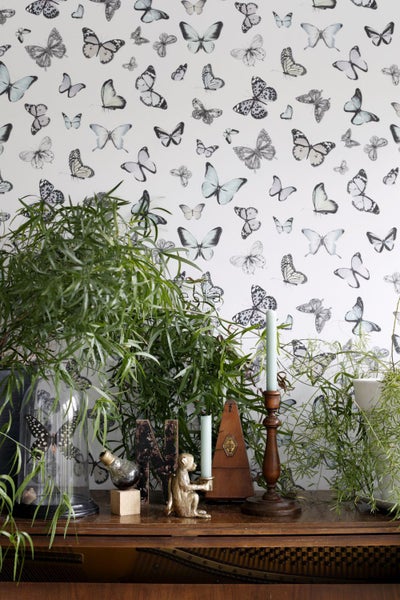 Raumansicht mit Tapete mit Schmetterlingsmuster, Pflanzen und dekorativen Gegenständen auf einem Klavier