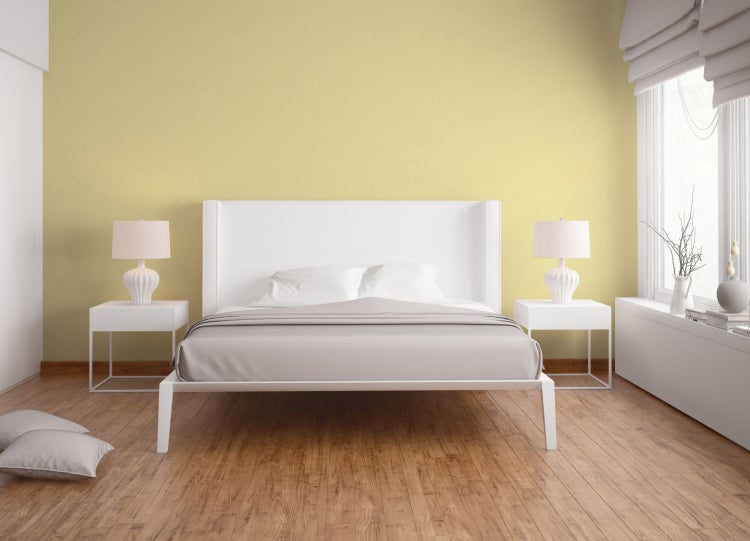 Nahaufnahme von Ahornblättern