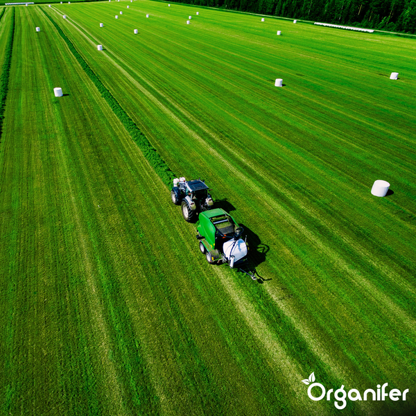 Traktor mit Ballenpresse auf einer grünen Wiese mit Heuballen. Organifer Logo.