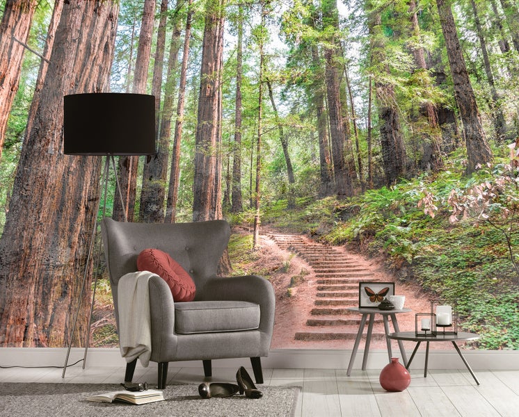Fototapete mit Waldmotiv, hohen Bäumen und einem Waldpfad mit Treppenstufen hinter einem grauen Sessel und einer schwarzen Stehlampe.