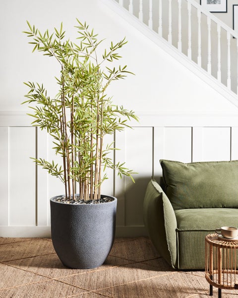 Abmessungen eines Pflanzgefäßes: Durchmesser oben 55 cm, Durchmesser unten 33 cm, Höhe 53 cm, Toleranz plus minus 2 cm