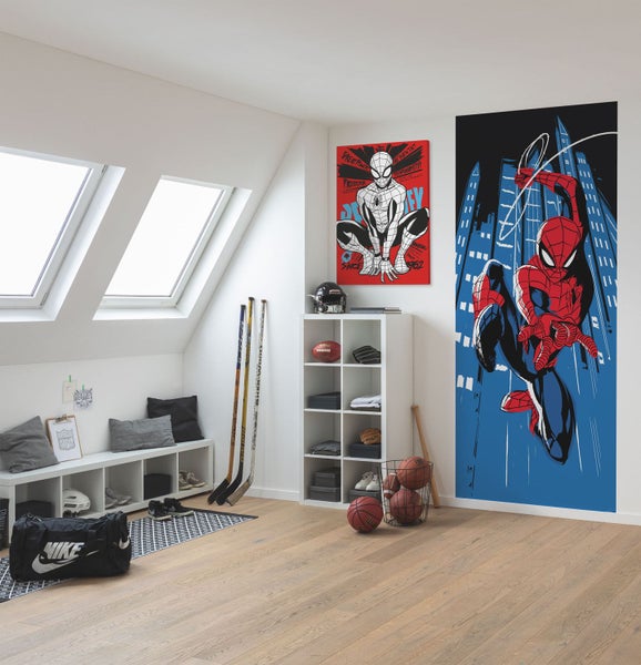 Jugendzimmer mit Spiderman Wandbildern, Regal und Sportartikeln