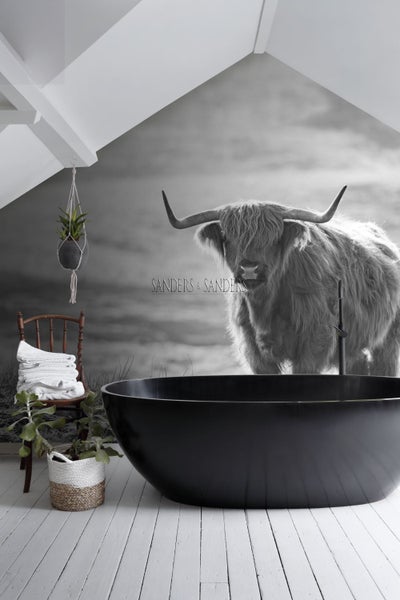 Sanders und Sanders Fototapete schottisches Hochlandrind Schwarz-Weiß - 300 x 279 cm - 950001