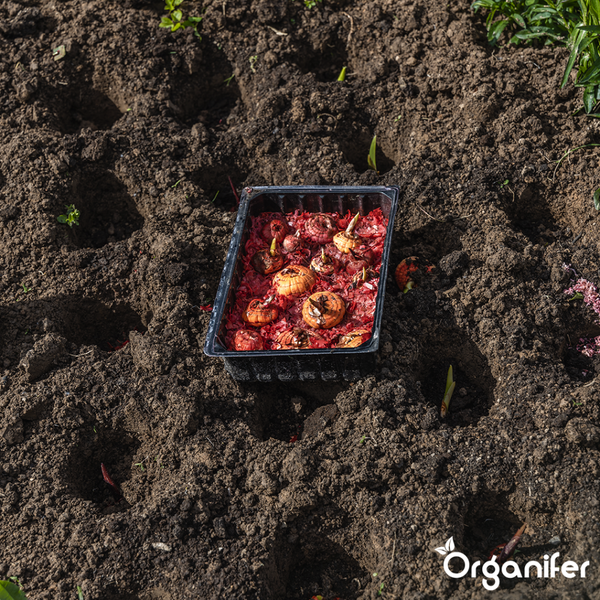 Automatische Schwimmerschalter-Illustration mit technischen Details