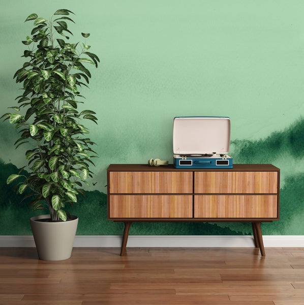 Modernes Wohnzimmer mit einem Sideboard aus Holz, einem Plattenspieler, einer großen Zimmerpflanze und einer grünen Wand in Aquarell-Optik.
