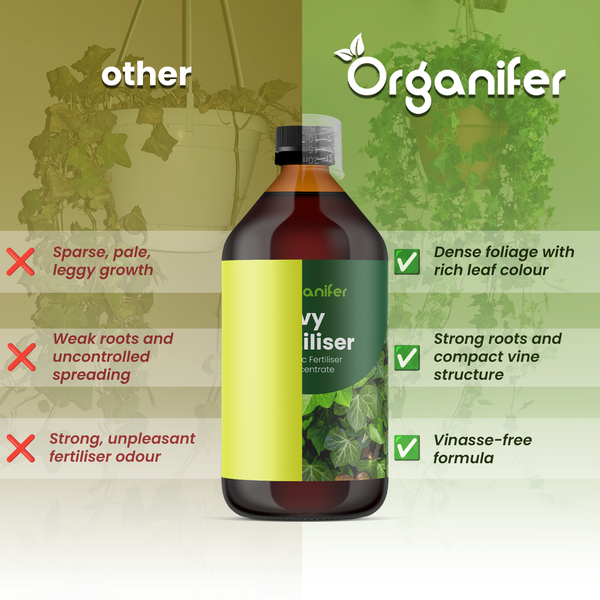 Organifer Logo. Vergleich von Organifer Efeu-Dünger mit anderen Produkten: Dichtes Blattwerk, starke Wurzeln und vinassefreie Formel.