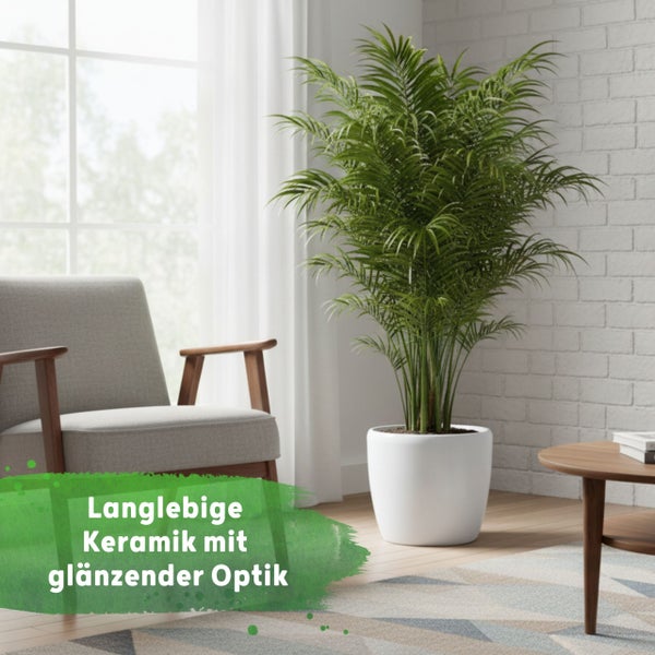 Große Zimmerpflanze in einem glänzenden Keramikübertopf in einem hellen Wohnzimmer mit Sessel, Holztisch und Teppich.