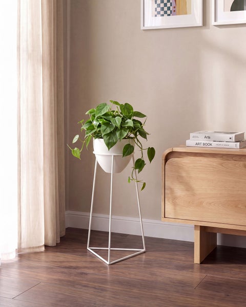 Zimmerpflanze in einem weißen Blumentopf auf einem schlanken weißen Pflanzenständer aus Metall in einem modern eingerichteten Wohnzimmer.