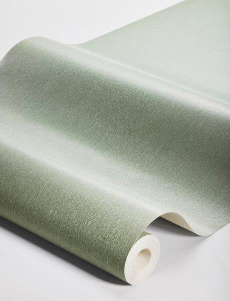 Zweig einer Harlekinweide mit Blättern