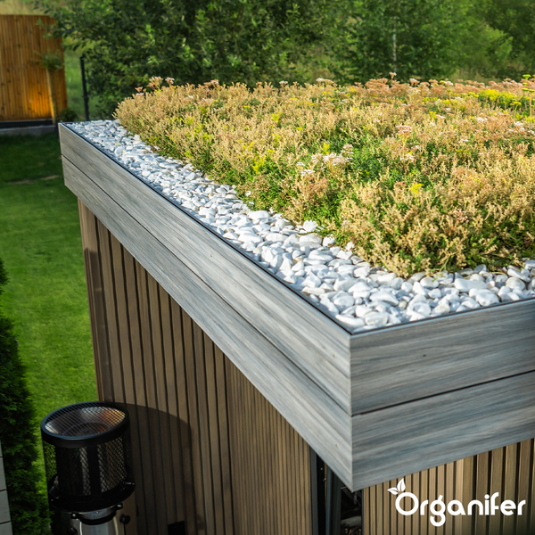 Dachbegrünung mit Sedum und weißen Kieseln auf einem Holzgartenhaus im Außenbereich. Organifer Logo.
