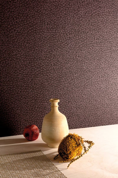 Nahaufnahme von Tannenzweigen