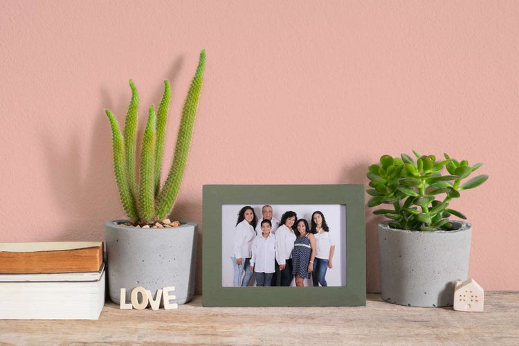 Grüner Bilderrahmen mit Familienfoto auf einem Holzregal zwischen zwei Sukkulenten in Betontöpfen, dekoriert mit LOVE Schriftzug.
