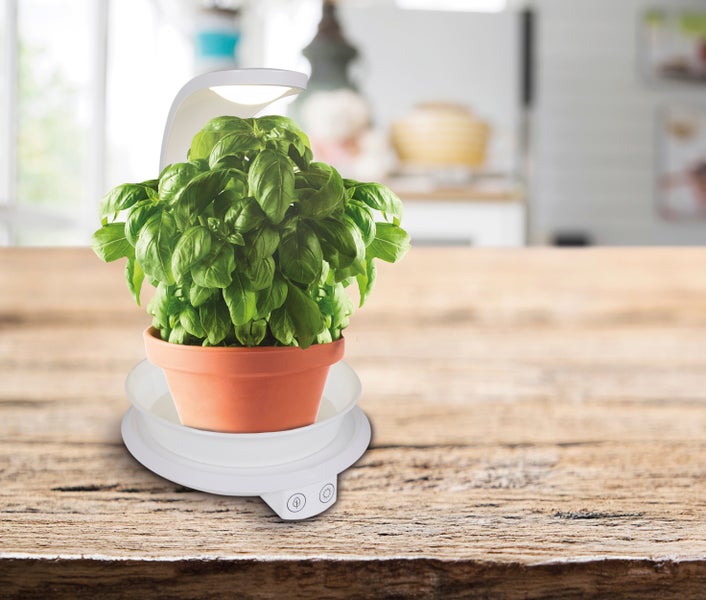 LED Pflanzen-Tischleuchte 24 cm hoch, aus Metall und Kunststoff in Weiß,  mit integrierter LED