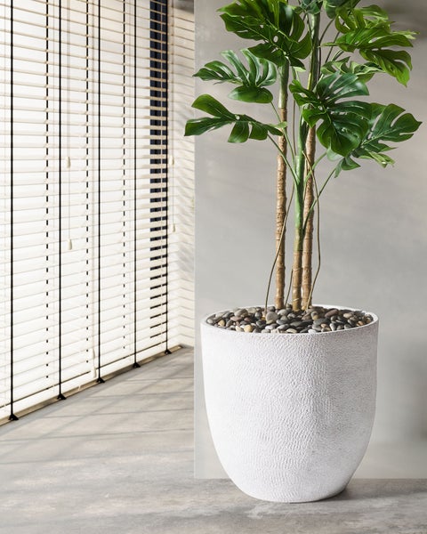 Zimmer mit Jalousien und einer Monstera-Pflanze in einem Pflanzgefäß