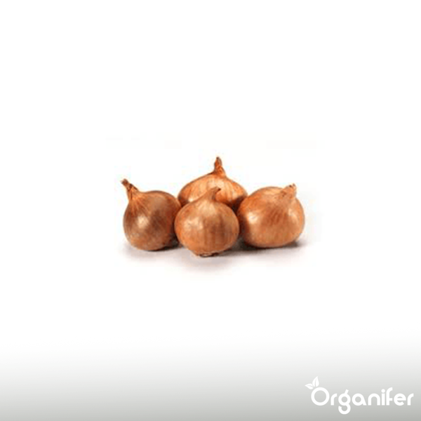 Eine Rolle Malerkreppband