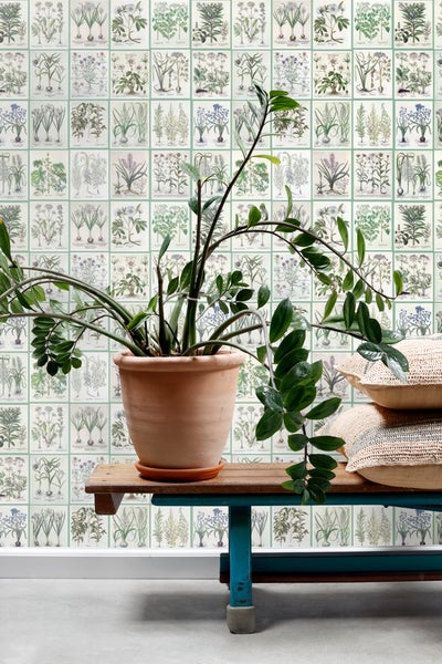 ESTAhome XXL-Vliestapete Seiten aus botanischen Büchern Grün - 50 x 900 cm - 159229