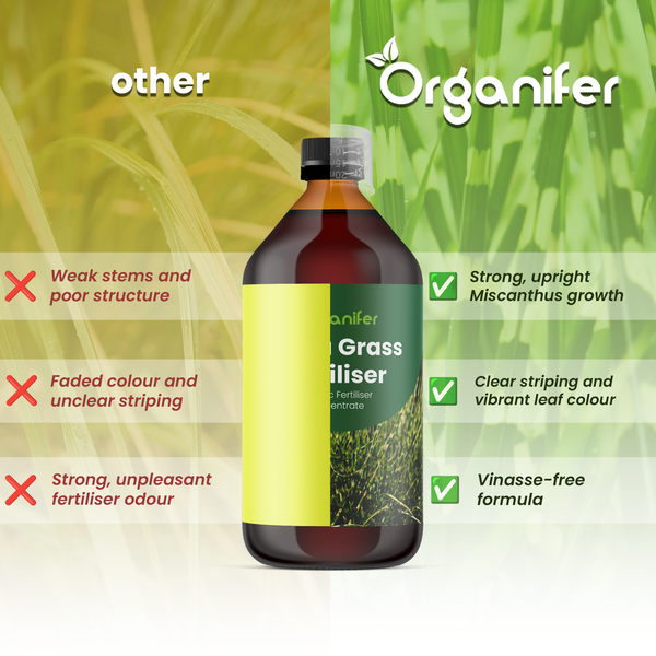 Organifer Logo. Vergleich von Organifer Flüssigdünger für Gräser mit anderen Düngern, der gesundes Wachstum und kräftige Blattfarben hervorhebt.