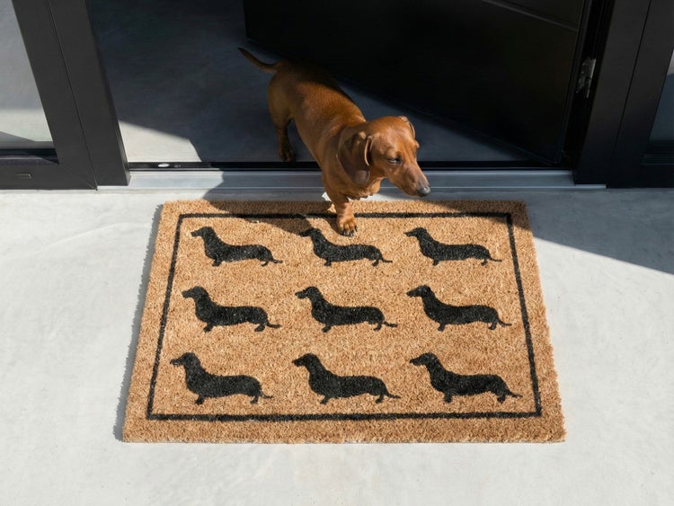 Schmutzfangmatte aus Kokos mit Dackel-Motiv vor einer Haustür mit einem echten Dackel.