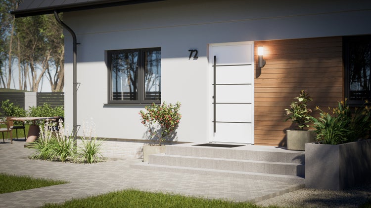 Außenansicht eines modernen Hauses mit Eingangstür, Fenster und Bepflanzung