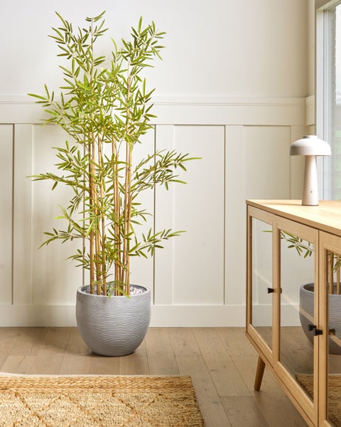 Dekorativer Bambus im Topf neben einem Sideboard in einem hellen Raum.