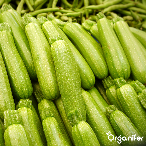 Frische Zucchini. Organifer Logo.