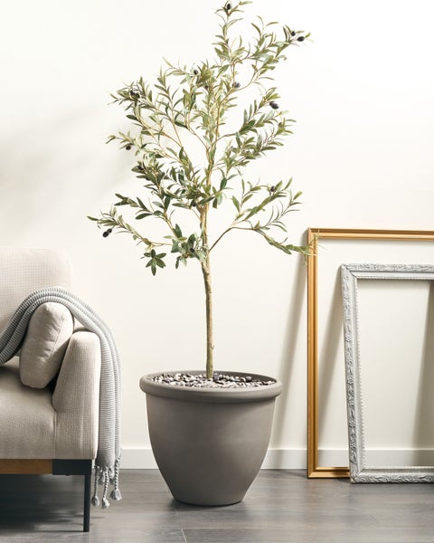 Dekorativer Olivenbaum im Topf, neben einem Sessel und Bilderrahmen