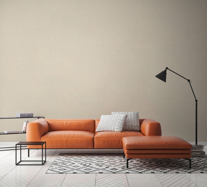 Seitenschneider mit BGS Logo