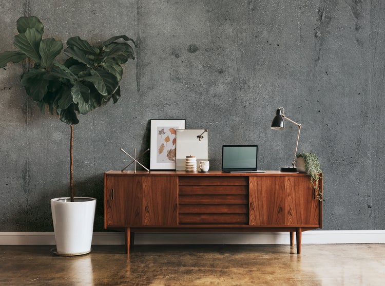 Modernes, organisiertes Wohnzimmer mit Betonwand, Sideboard aus Holz, großer Zimmerpflanze im Topf, Laptop und Schreibtischlampe.