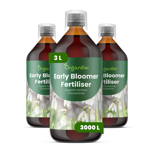 Organifer Early Bloomer Dünger, 3 Liter organisches Flüssigdünger-Konzentrat, Set aus drei Flaschen für Frühblüher.