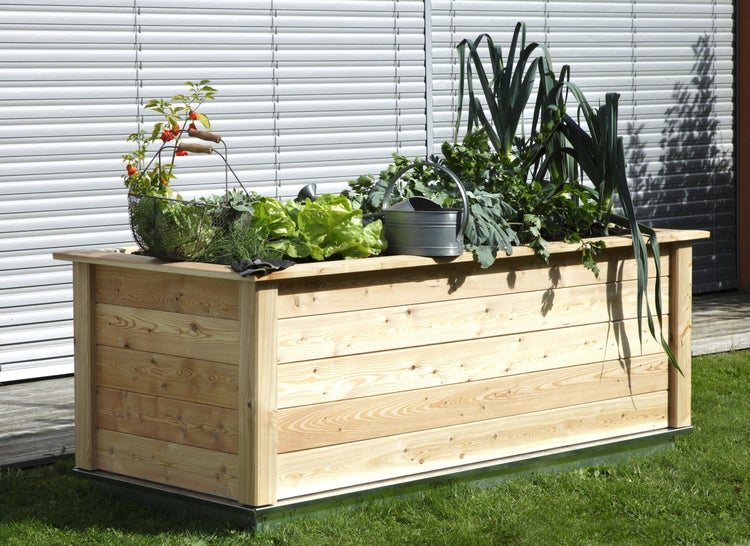 Hochbeet aus Holz mit verschiedenen Gemüsepflanzen, Kräutern, Gießkanne und Erntekorb im Außenbereich auf einer Rasenfläche.