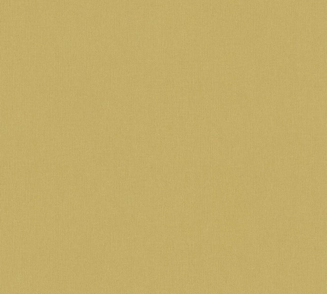 Dekorative Zimmerpflanze mit Büchern auf einem Holzschreibtisch